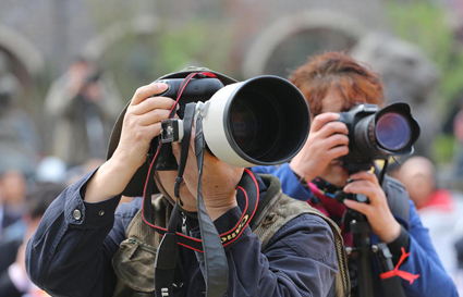 沈阳摄影学校学习摄影需要哪些专业知识？